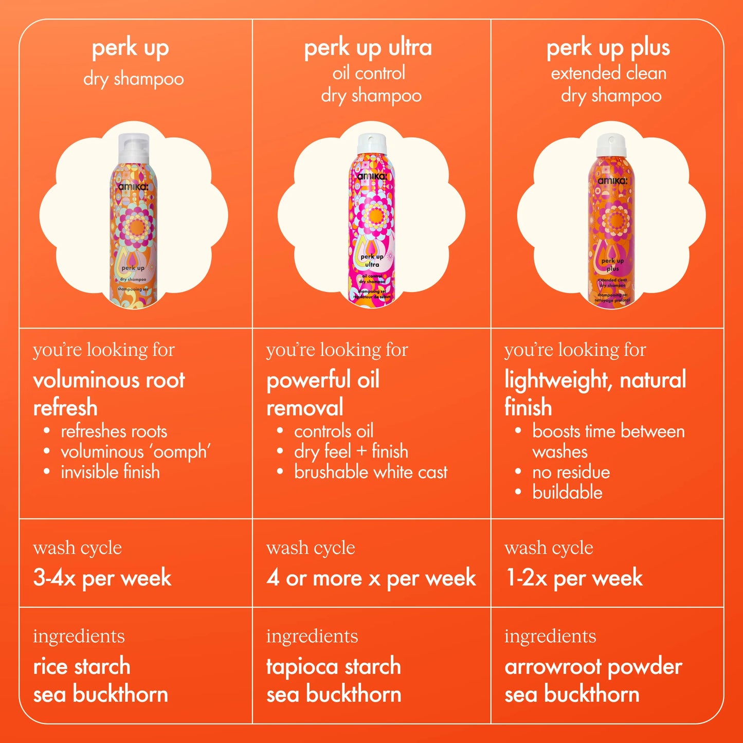 Perk Up plus Extended Clean Dry Shampoo