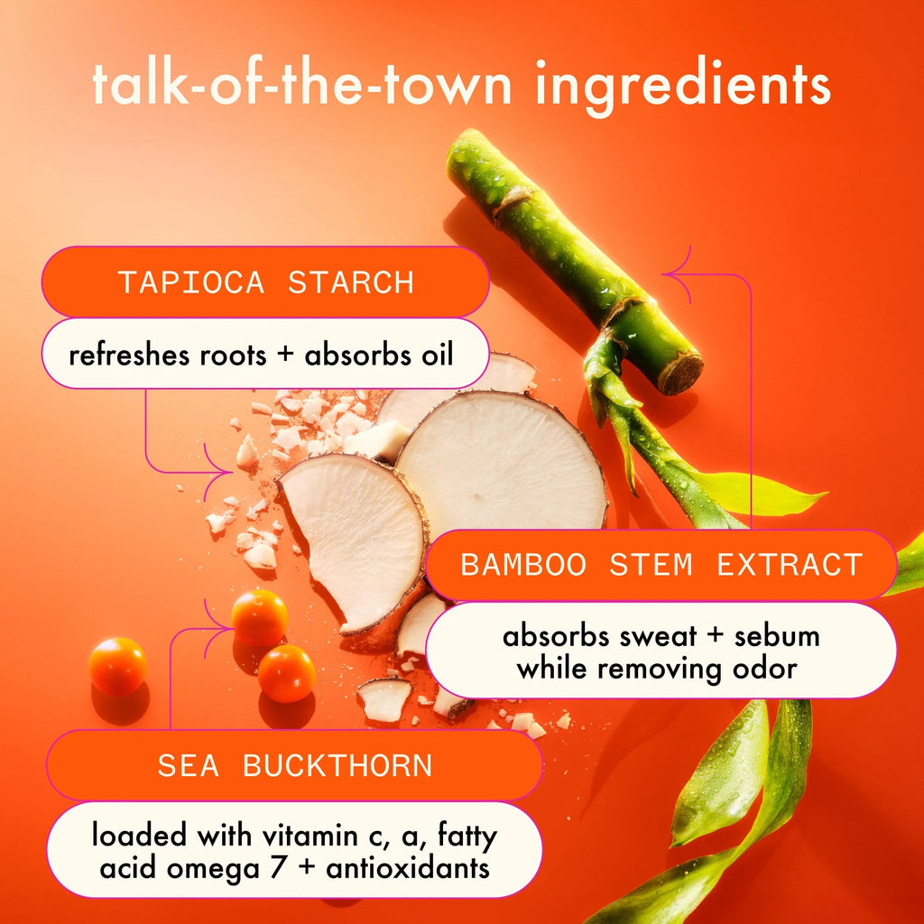 Perk Up Ultra Oil Control Dry Shampoo